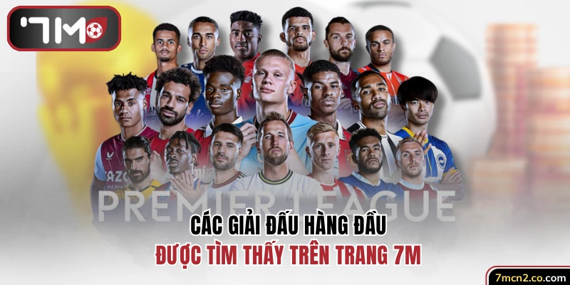 Các giải đấu hàng đầu được tìm thấy trên trang web 7M